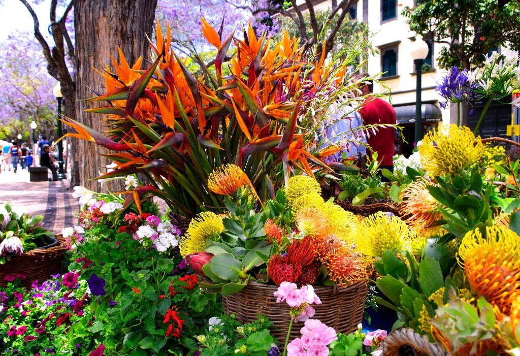 Bloemenfestival Madeira