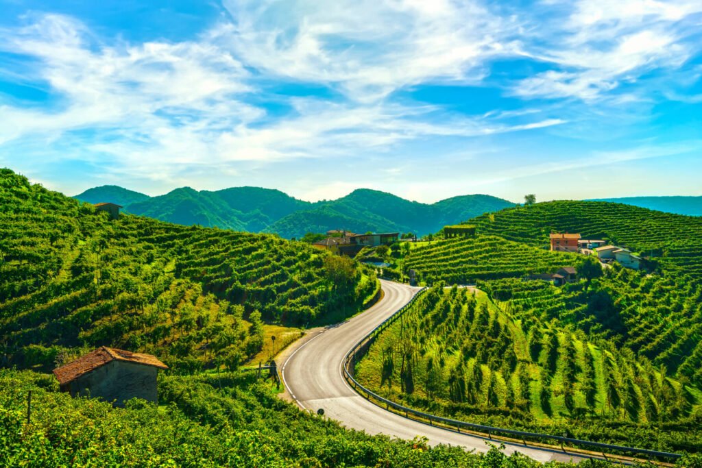 Vineyards and road. Prosecco Hills, Unesco Site. Valdobbiadene,